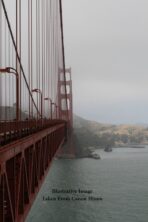 Canon 50mm f/1.4 USM Prime Lens - Image 5