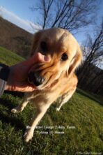 Tokina 11-16 F2.8 Wide Angle Lens for Nikon Cameras - Image 7