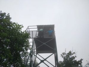 SGNP