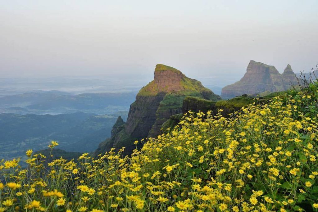 Image result for kalsubai camp