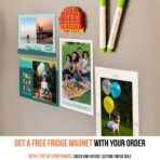 Nikkor 200-500mm f5.6 Zoom Lens - Image 4