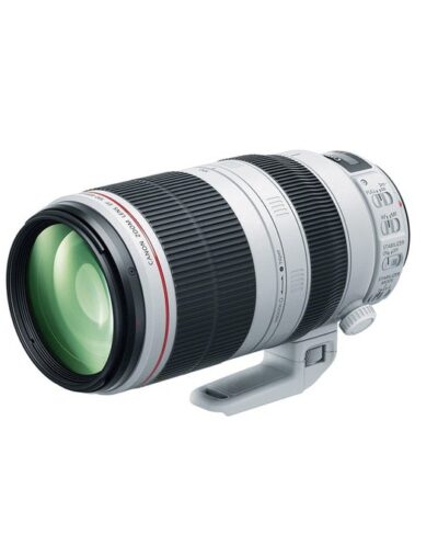 Canon EF 100-400mm f/4.5-5.6L IS II USM Lens