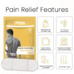 BluHeat Back Pain Relief Patches - Image 5