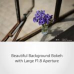 Sony E Mount FE 50mm F1.8 Lens - Image 5