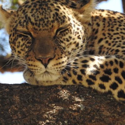 513452227_754836450537055_752729738442454266_n