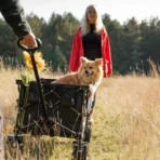 MoverX Foldable Wagon - Image 9