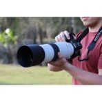 Canon RF 200-800mm f/6.3-9 IS USM Lens - Image 2
