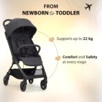 Chicco We 2 Cabin Stroller - Image 7
