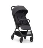 Chicco We 2 Cabin Stroller